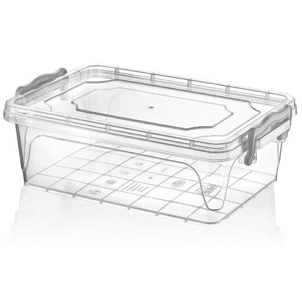 Levně box 3,8l MULTI, 30,5x20x10,5cm, obdél.níz., plast