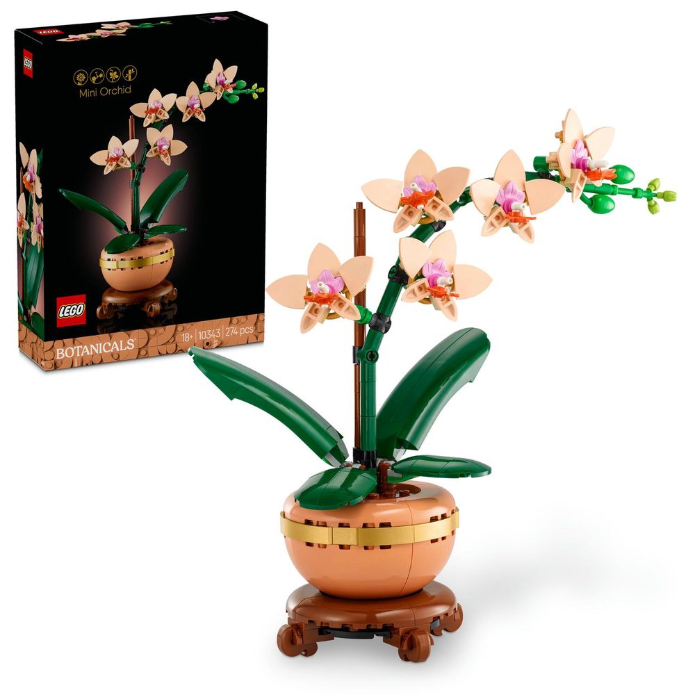 Levně Miniaturní orchidej