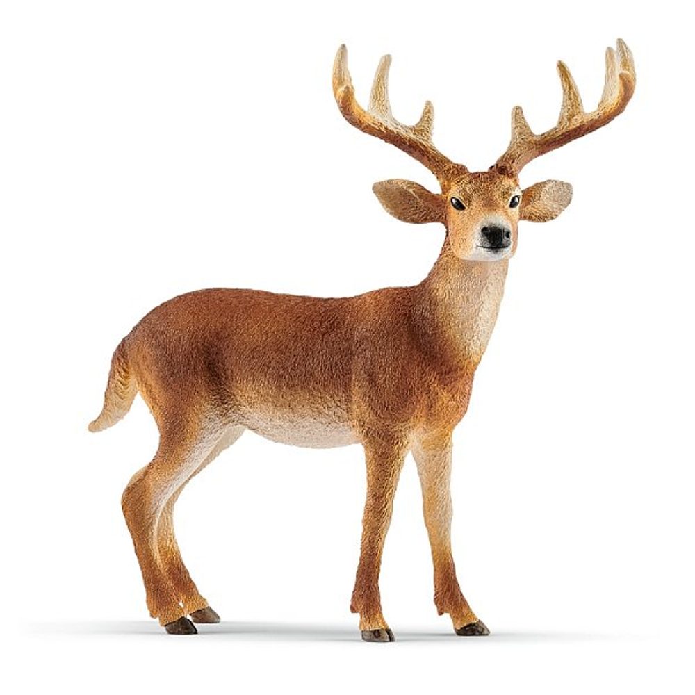 Levně SCHLEICH Zvířátko - Jelen běloocasý