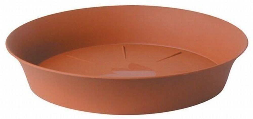 Levně podmiska d60cm TER TULIPÁN