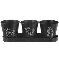 květ. d11x10,cm, 3ks, podmiska 33x11cm, bylinky, BLACK, kov
