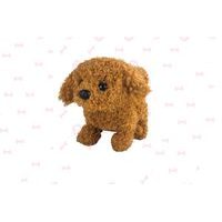 CCL Kočička s funkcemi