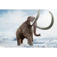 SCHLEICH Prehistorické zvířátko - Mamut