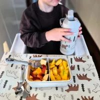 TORO LAHEV S PATENTNÍM UZÁVĚREM 540ML ELFÍCI_hamashop