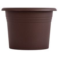 obal d60cm Narcis Čoko