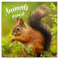 Poznámkový kalendář Zvířátka z lesa 2023, 30 × 30 cm Baagl