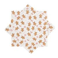 Ubrousek papír PERNÍČEK 20 ks 33x33 cm