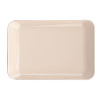 Petra plast PODNOS MALÝ 19 X 13 X 1.5CM, PLAST_hamashop