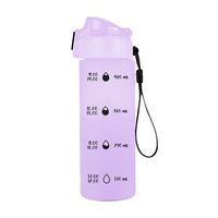 Láhev na pití 500 ml Paw Patrol