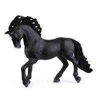 Zvířátko - hřebec andaluského koně
