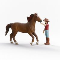 SCHLEICH Narozeninová oslava s Lisou, hrací sada