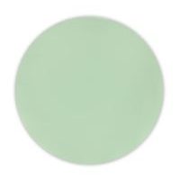 PROCOS SADA 2 KS TALÍŘŮ 20,5 CM, PP, SV. ZELENÁ_hamashop