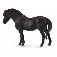 Dartmoorský pony - černý