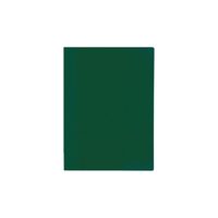 Rychlovazač A4 PVC s kapsou zelená