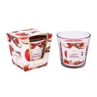 svíčka vonná 120g, JABLKO a SKOŘICE, parafín, DB, sklo