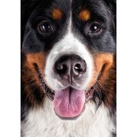 Motýlí slečna Ofélie