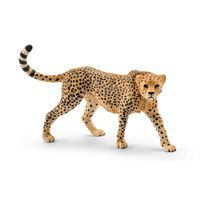 Zvířátko - samice geparda