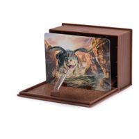 MEGA POKÉMON POHYBLIVÁ FIGURKA - CHARIZARD