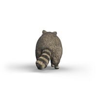 SCHLEICH Zvířátko - mýval
