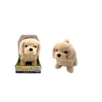 CCL Kočička s funkcemi