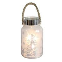 TORO LAHEV DEKORAČNÍ 5 LED VÁNOČNÍ, 2 ASSORT_hamashop