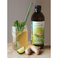 TOPNATUR Kombucha Ananas 500 ml