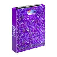 BAAGL Plastové desky na školní sešity School šedé