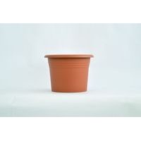 obal d25cm Narcis TER