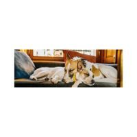 Hama MFi USB kabel Reflective pro Apple, USB-A Lightning 1,5 m, modrý