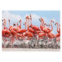 Roztomilé koaly a pandy 2x24 dílků