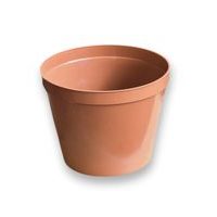 květ. d18cm Standard TER