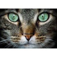 BING - Hrajeme si puzzle 24 dílků