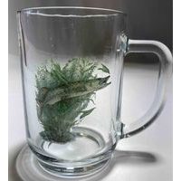 sklen. 500ml, 1ks, ŠTIKA - BOHEMIA HLADKÝ, cejch, pivo