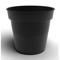 květ. d15cm CAMELIE ANTRACIT