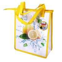 TORO TAŠKA CHLADÍCÍ NA ZIP CITRON 33X28X13CM_hamashop