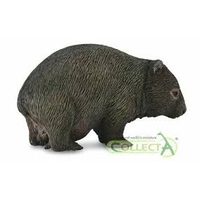 Vombat medvědovitý