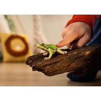 SCHLEICH Narozeninová oslava s Lisou, hrací sada