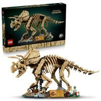 Dinosauří fosilie: Triceratops