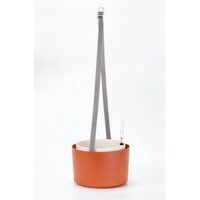 žardina d26cm TER/slon.kost BERBERIS, závěsná