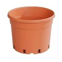 květ. d21cm CLASSIC MCI /dez+EAN/4,0l TER