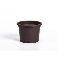 obal d40cm Narcis Čoko