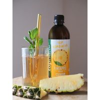 TOPNATUR Kombucha Ananas 500 ml