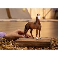 SCHLEICH Narozeninová oslava s Lisou, hrací sada