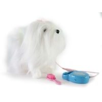 Chodící maltézský psík