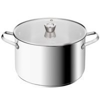 hrnec d28cm+PO, XL, EMOTION+, indukce, TEFAL, NR *9,4,
