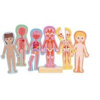 Hape Magnetické puzzle - Lidské tělo