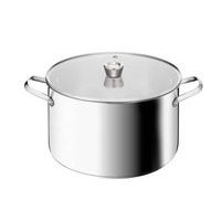 hrnec d30cm+PO, XL, EMOTION+, indukce, TEFAL, NR