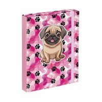 BAAGL Desky na školní sešity A5 Tlapky