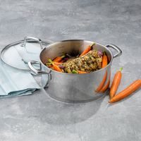 BERLINGERHAUS Kastrol s titanovým povrchem a poklicí 28 cm Sahara Collection BH-8072