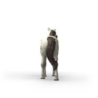 SCHLEICH Lesník